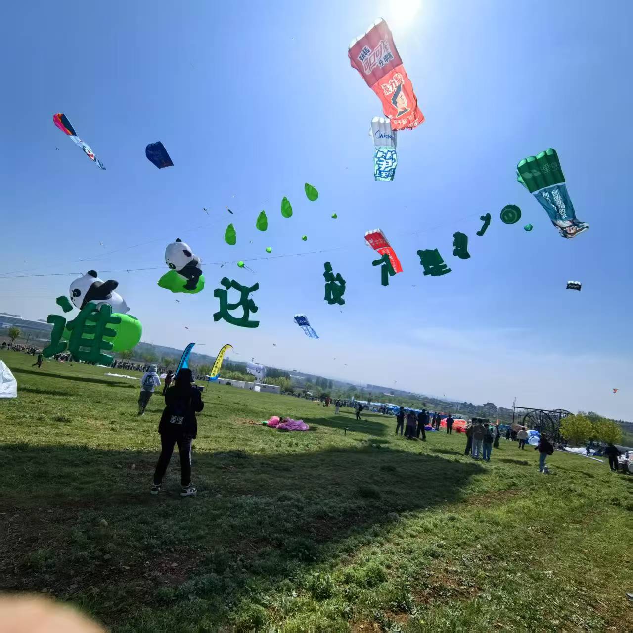 曲靖市儿童风筝定制风筝定制 - 方案